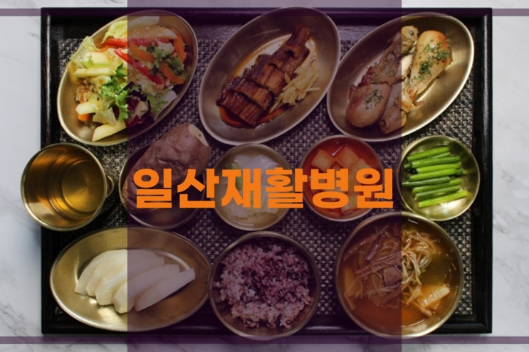  일산재활병원 면역관리로