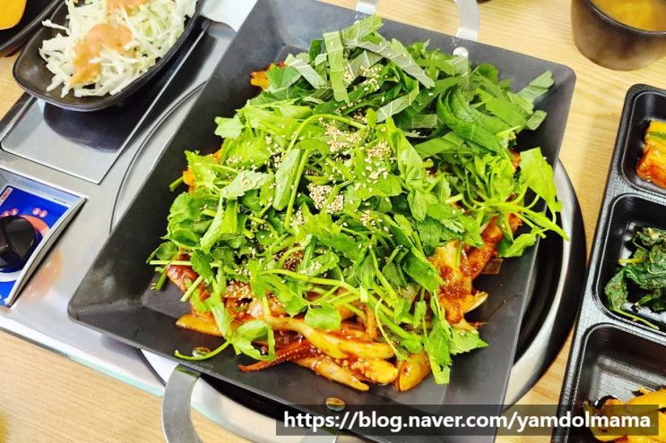  세종시 오삼불고기 뽀꾸미시대 메뉴, 가격 정보