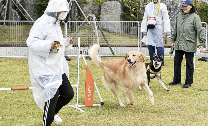 반려동물 상품만 판매하는 펫보험 전문보험사 나온다 반려동물 상품만 판매하는 펫보험 전문보험사 나온다
