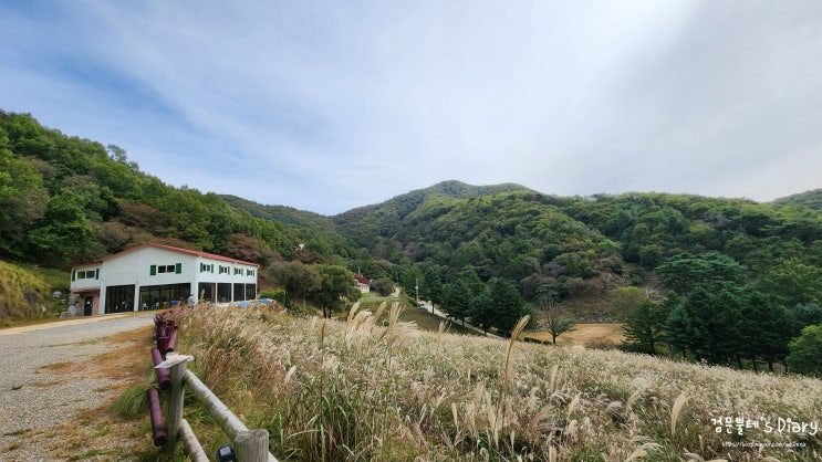  경기도 광주 당일치기 캠핑장 라까시나 이태리 수도권 나들이 가볼만한곳