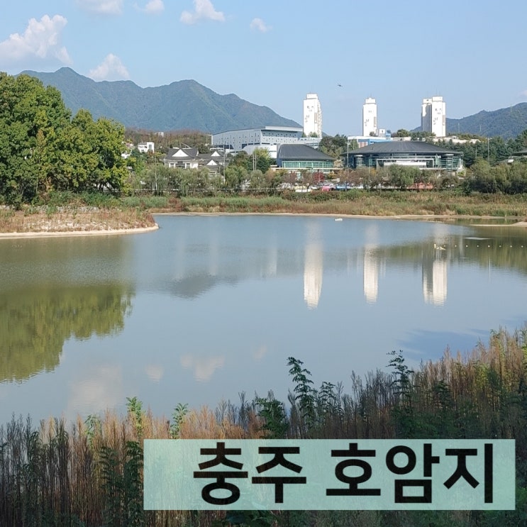  충주여행 5탄 호암지