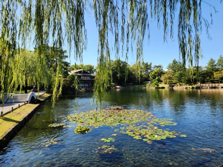 나고야 여행 - 일본식 정원의 진수 도쿠가와엔(원)徳川園 산책