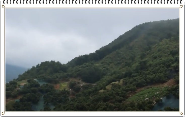 복귀산 사진 2