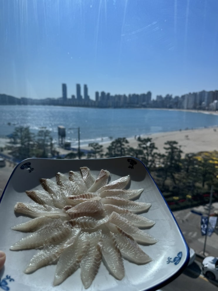  [부산] 광안리전망좋은횟집 피로연하기 좋은 남해횟집