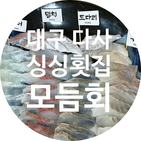  [다사횟집] 싱싱횟집  푸짐한 모듬회 대자