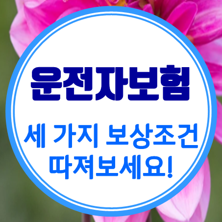  운전자보험비교 시, 세 가지 운전자보험보상 조건을 꼭 따져보세요.