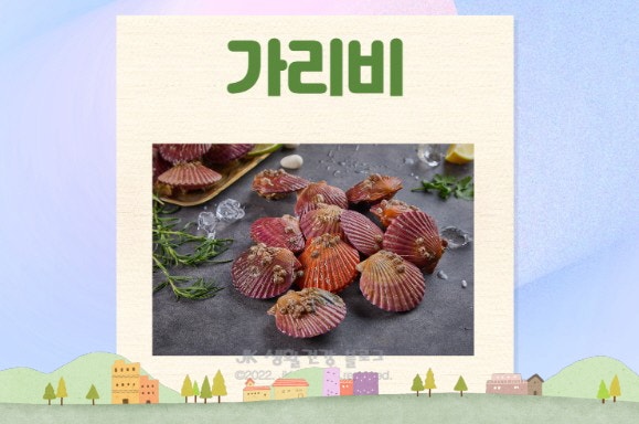 가리비 효능 홍가리비 효능 및 부작용 가리비찜 가리비 찌는법