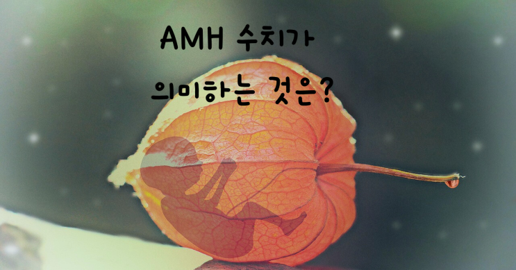  실제로 AMH 수치가  의미하는 것은?