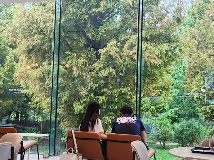  양재천 카페거리 주차 가능 뷰맛집  투썸플레이스 포이 DI점
