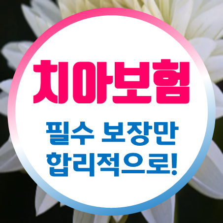 치아보험추천, 치과 치료비가 부담된다면 치아보험비교사이트에서 가입 조건을 알아보세요.