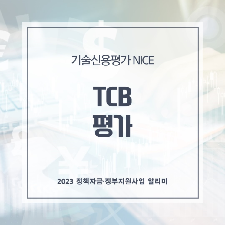  기술신용평가 NICE TCB 평가 정보