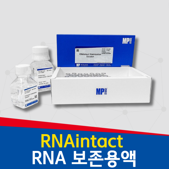 RNA추출을 위한 샘플 보존 용액 (RNAintact Stabilization Solution)