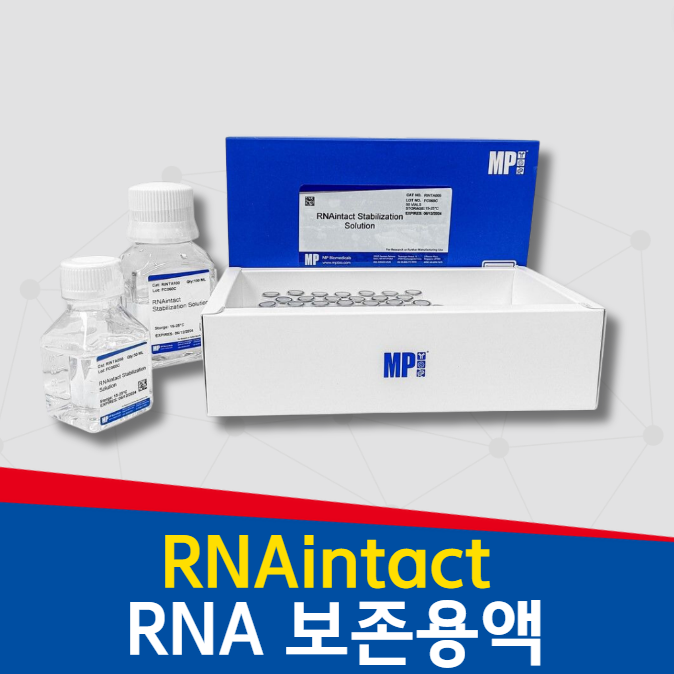  RNA추출을 위한 샘플 보존 용액 (RNAintact Stabilization Solution)