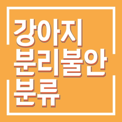  강아지 분리불안 증상 : 분리불안의 두 가지 종류를 알려드릴게요!