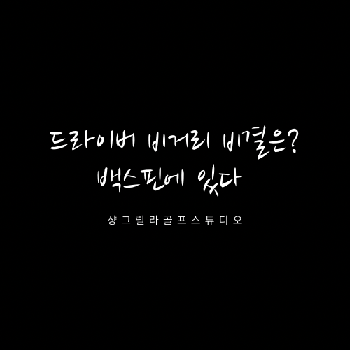  드라이버 비거리 늘리는 법 비거리 비결은? 백스핀 전주골프레슨 전주골프연습장 트랙맨 스튜디오