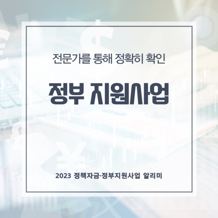  정부 지원사업 전문가를 통해 정확히 확인