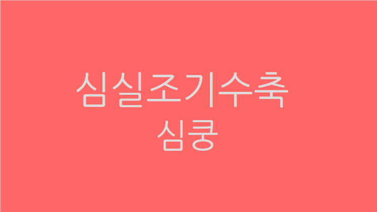  심실조기수축 심장이 쿵 내려앉는 느낌이 지속되면