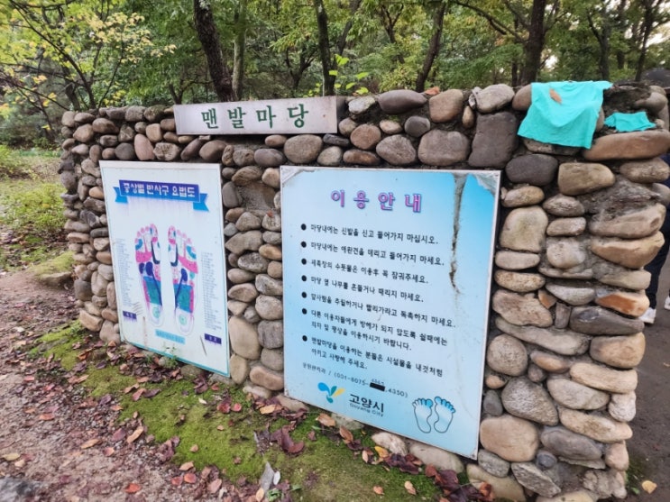  일산 호수공원 맨발 마당 어렸을 때 아빠 따라갔었던 곳을 다시 와봤습니다.