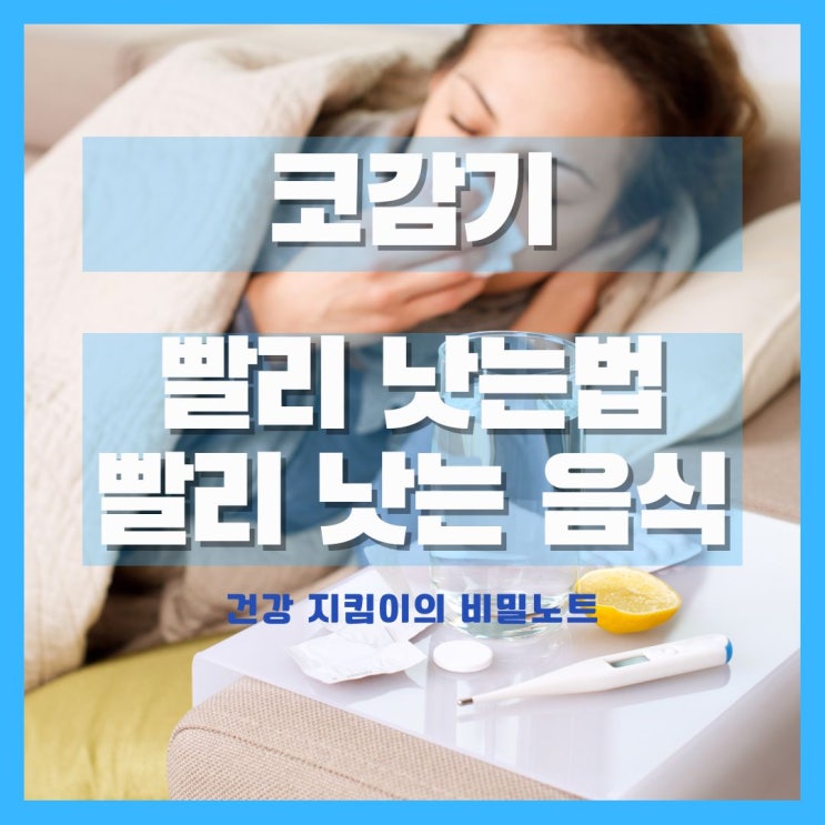  코감기 빨리 낫는법, 코감기 빨리 낫는 음식