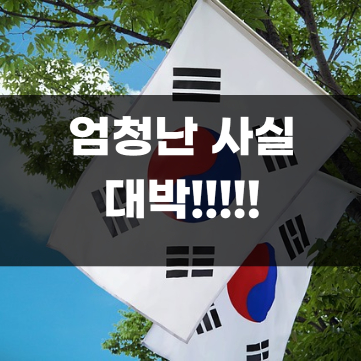 태극기 AI : 인공 지능과 함께하는 한국의 국기