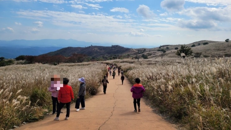  사진에서 사람 지우는 법