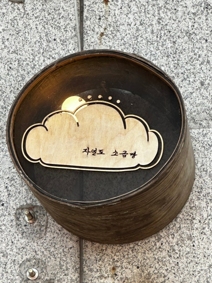 성수 빵지순례 모여랏! 자연도 소금빵 성수 컴온