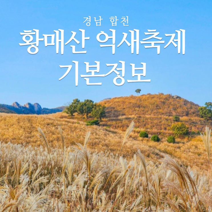  합천 황매산 억새축제 기본정보 주차 꿀팁 포토존, 황매산숲속야영장