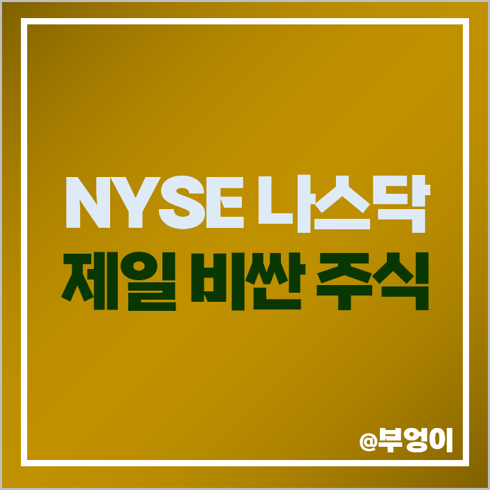 미국 NYSE 나스닥 제일 비싼 주식 주가 시총 시가총액 순위 미국 NYSE 나스닥 제일 비싼 주식 주가 시총 시가총액 순위