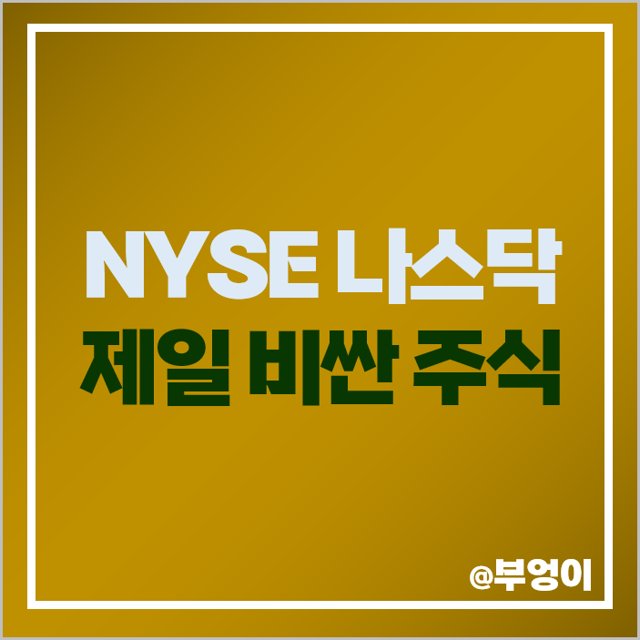 미국 NYSE 나스닥 제일 비싼 주식 주가 시총 시가총액 순위