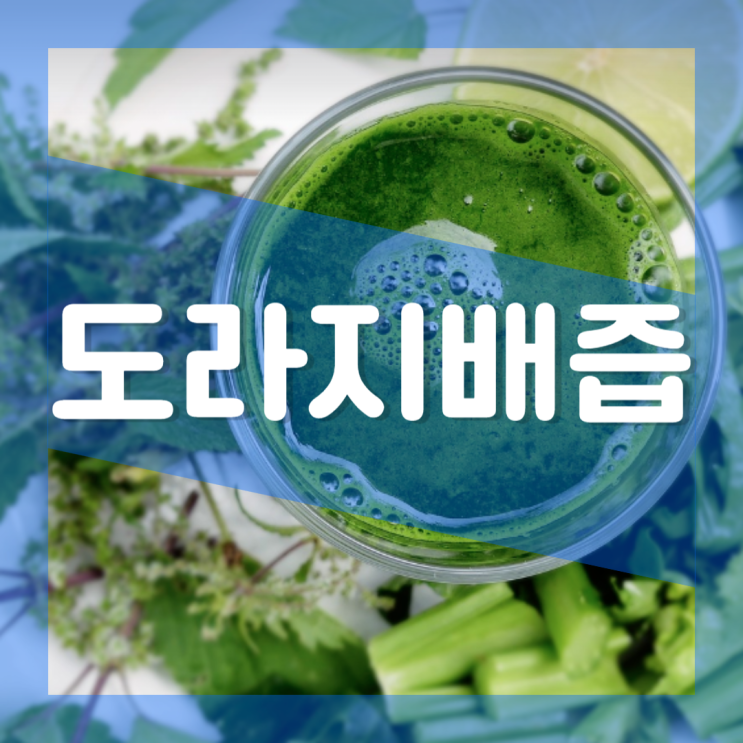  도라지배즙 효능 부작용 : 아이 아기 기침 가래 기관지 좋은 효과