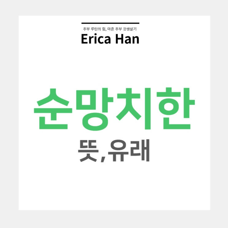  순망치한 뜻 유래 및 밀접 관련 한자 사자성어 고사성어 풍운어수 표리일체