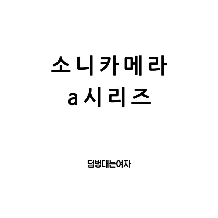  소니의 미러리스 세계: a5100, a6000 그리고 a6400