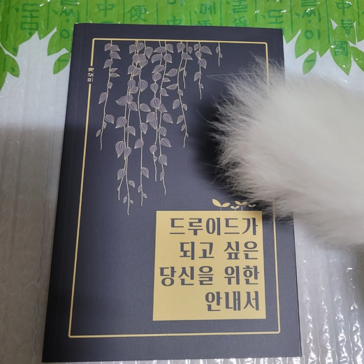  프로개, 드루이드 책 선물