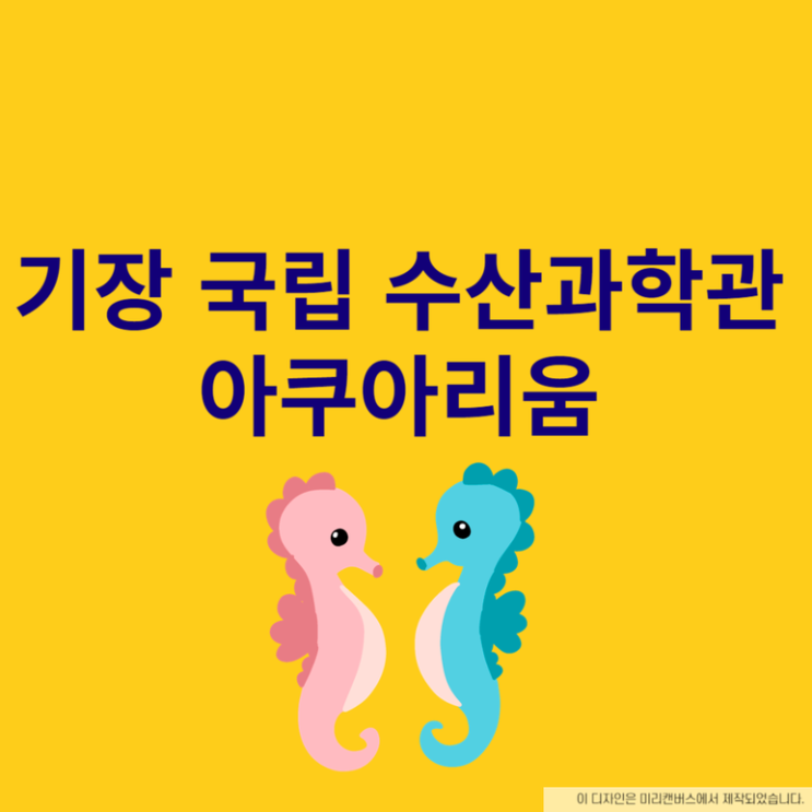  기장 국립 수산과학관 아쿠아리움