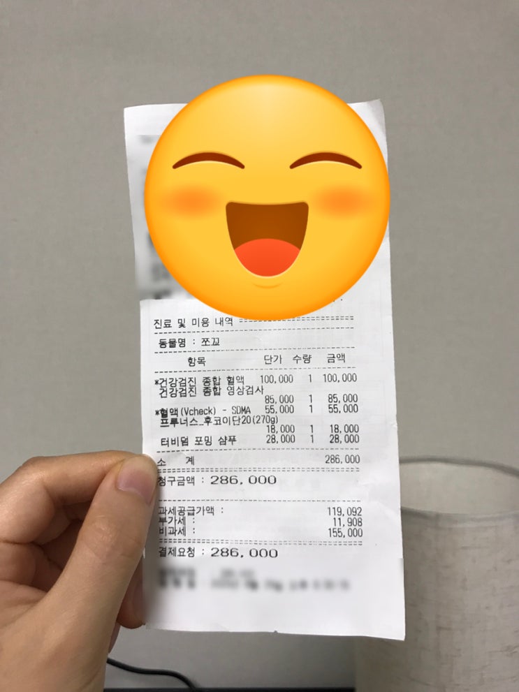  강아지 건강검진 12살 초코 엑스레이 , 피검사 비용 정리