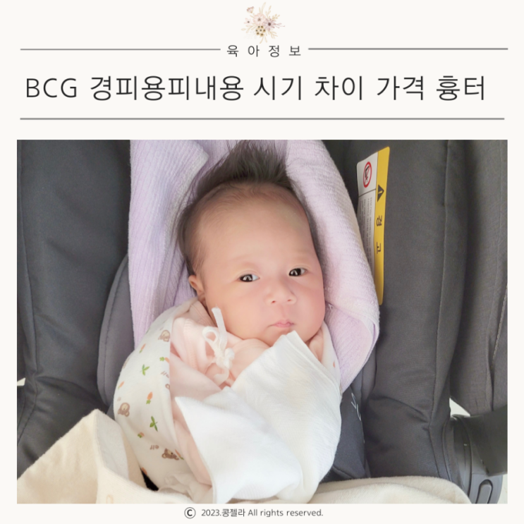 신생아 BCG 경피용 피내용 차이 가격 접종시기 접종 9개월 아기 흉터