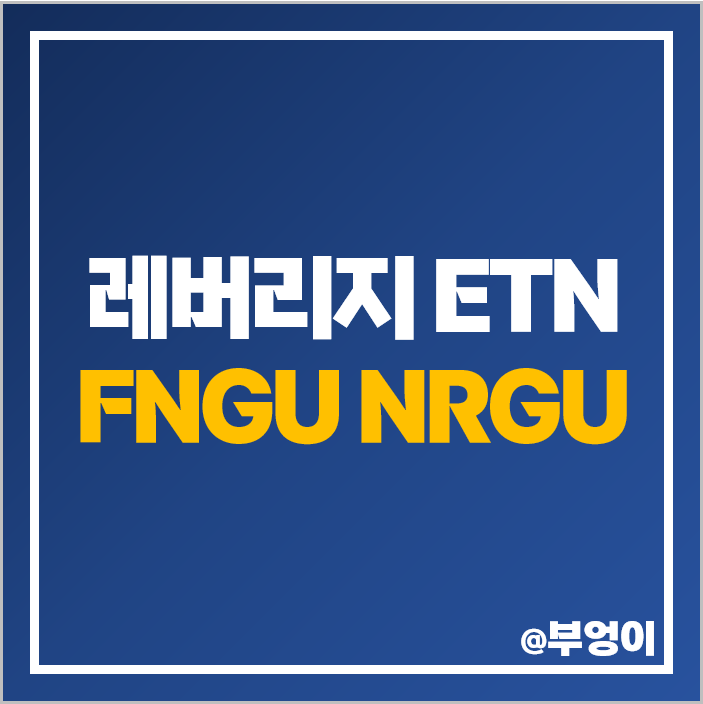 미국 3배 레버리지 ETF ETN FNGU NRGU 주가 구성 주식 종목 미국 3배 레버리지 ETF ETN FNGU NRGU 주가 구성 주식 종목