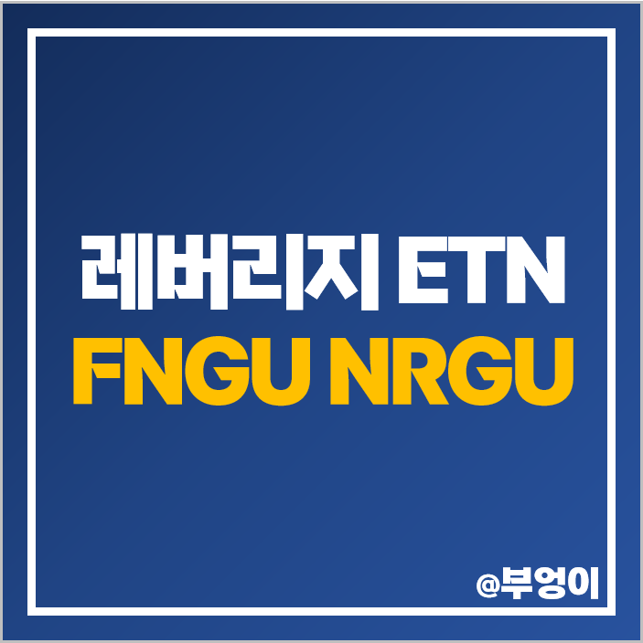 미국 3배 레버리지 ETF ETN FNGU NRGU 주가 구성 주식 종목