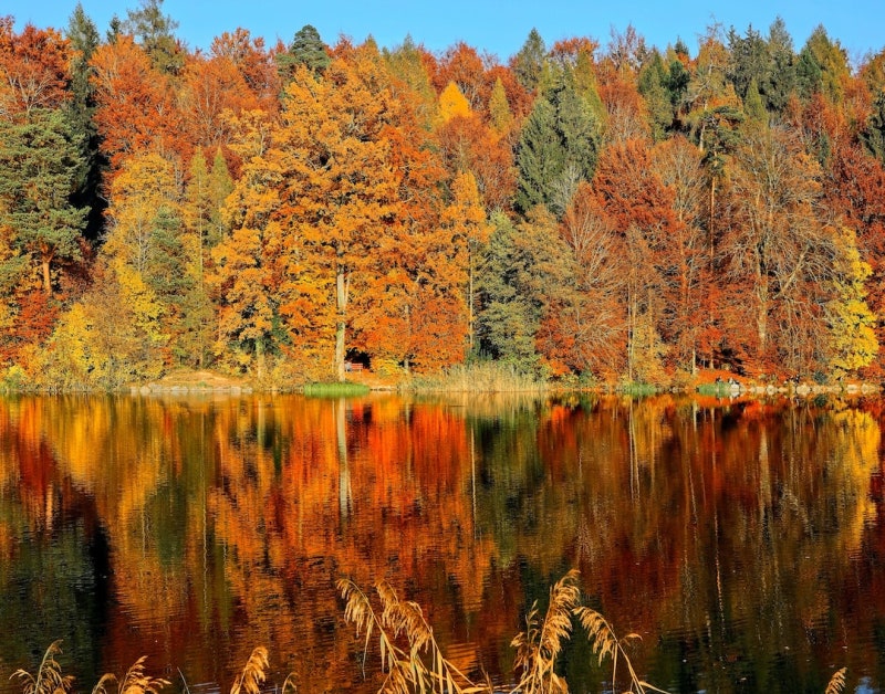 가을 영어로 fall autumn 가을 영어 발음 알아볼까