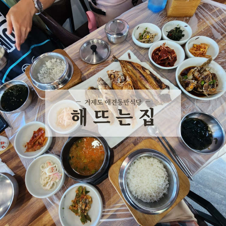  거제도 애견동반식당 오션뷰가 멋진 해뜨는집 생선구이정식 게장정식 내돈내산 후기