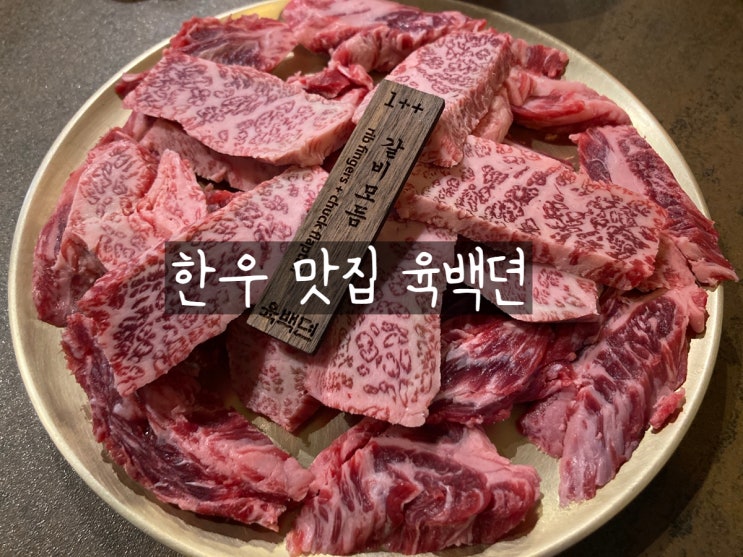  강원도 태백 맛집 살살 녹는 한우의 맛 육백뎐
