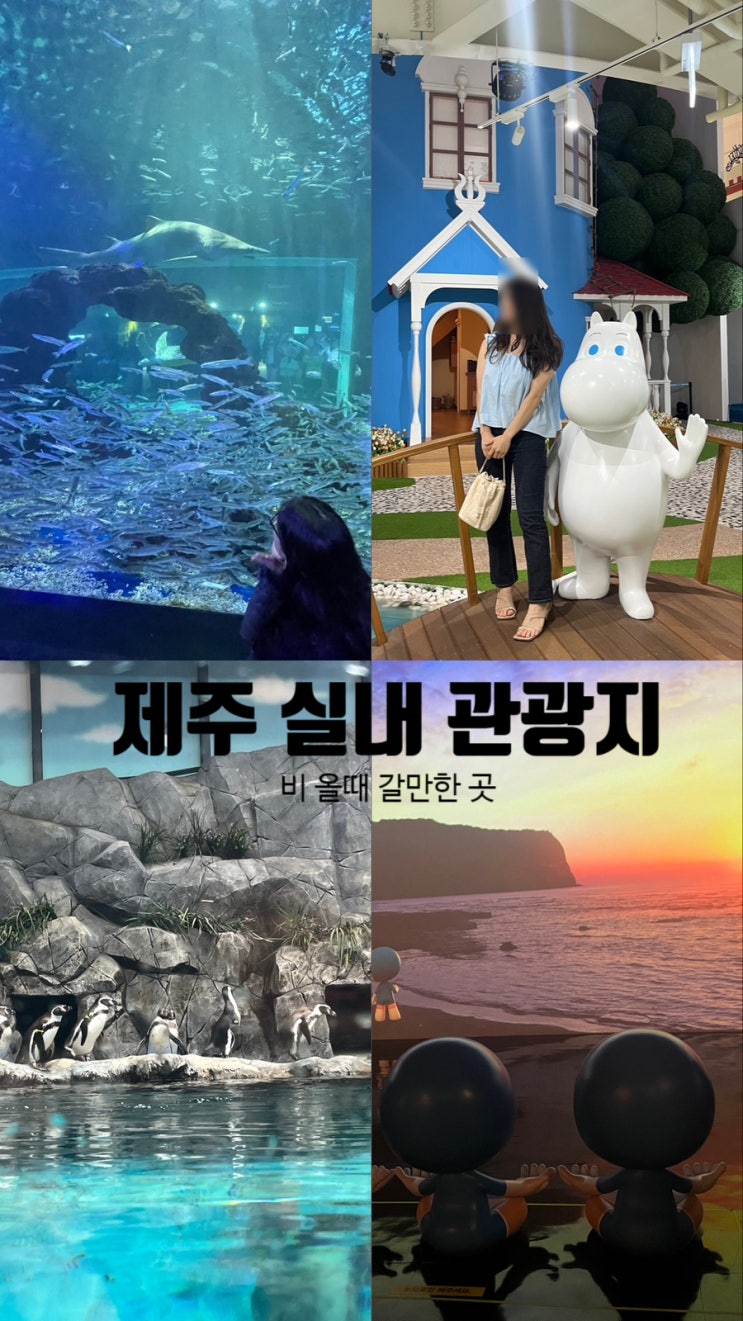  제주도 비올때 가볼만한 곳 추천 5곳