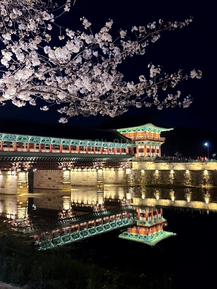  [경북여행]경주 당일치기 여행코스 가볼만한곳/월정교/동궁과월지