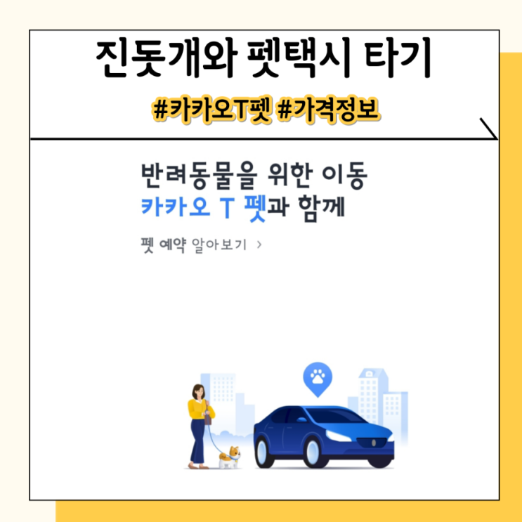 카카오 T펫 펫택시 가격 중형 강아지와 타봤어요 카카오 T펫 펫택시 가격 중형 강아지와 타봤어요