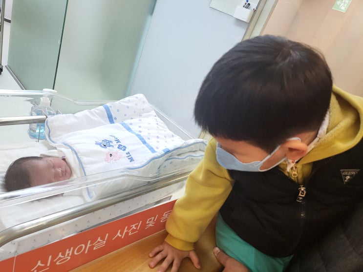  아이를 낳으면 바보 라는 시대