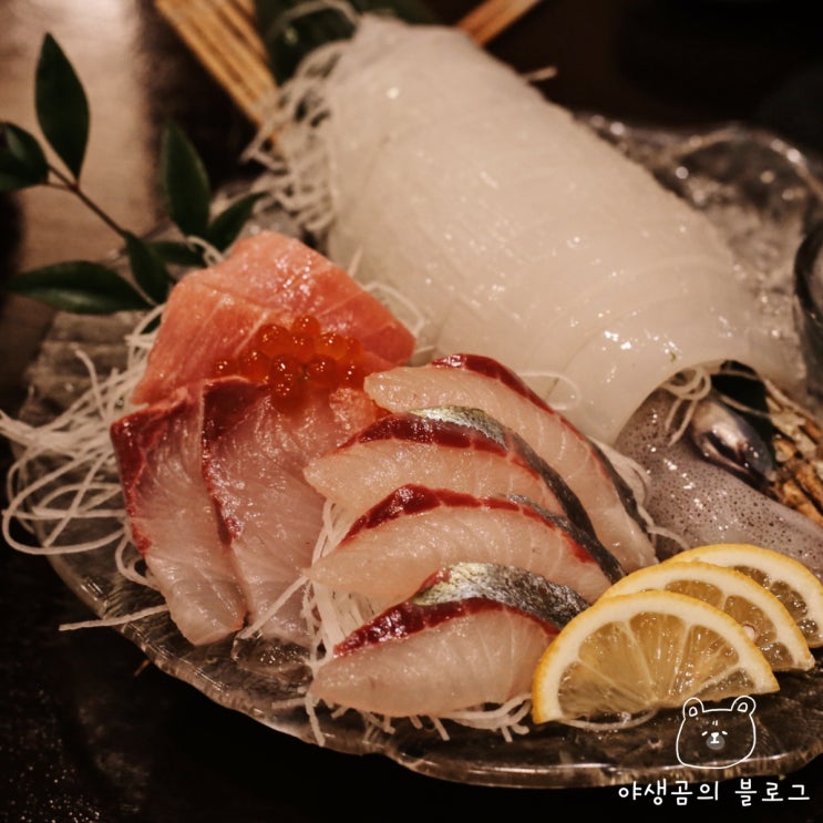  술 한 잔하기 좋은 후쿠오카 코스요리 선술집 하카타 酒食青松(아오마츠)