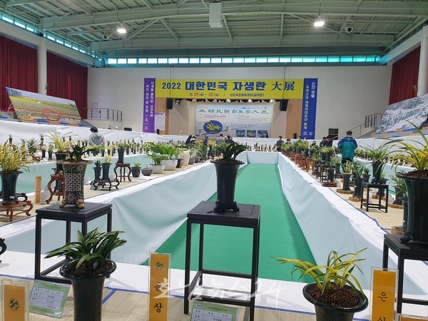  1004섬 신안에서 2023 대한민국 자생란 대전 개최..전국 1,500여 점 자생란 출품될 예정