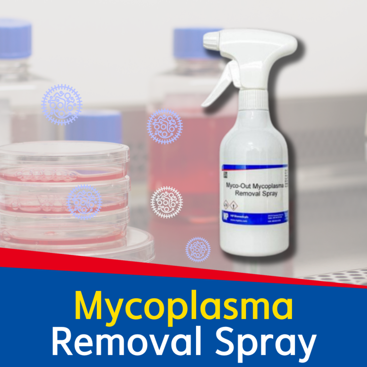 Mycoplasma Removal Spray - 마이코플라즈마제거 스프레이