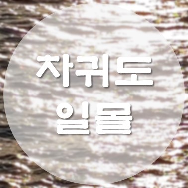  [국내/제주도] 유명하지 않은 차귀도 뷰 용수방파제 근처 일몰 명소