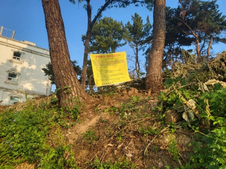  2023년 경북 구미시 오태동 산 무연분묘 2기 공사 고인돌장묘개발장의사 #김천장의사 #구미장의사 #선산장의사 #상주장의사 #성주장의사 #문경장의사 #영동장의사 #황간장의사